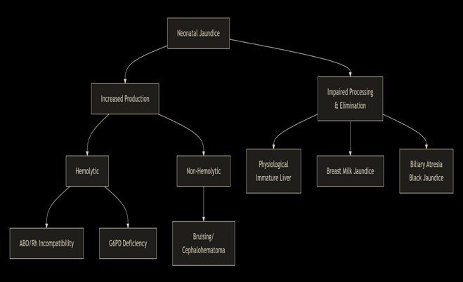 normal range of bilirubin in newborn